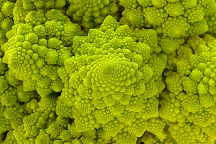 Strate Tribune Design Le Monde Est Un Chou Romanesco